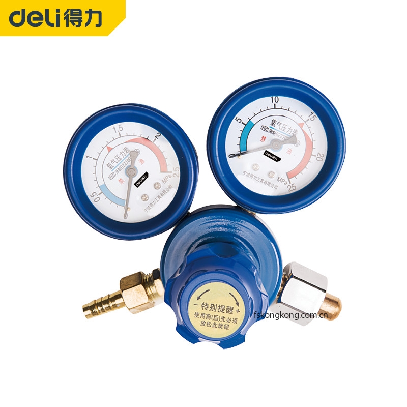 DELI/得力 DL-YQY 氧气减压器5类型纯铜(蓝)(只)